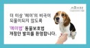 한정애 의원，사역동물 실험 금지＋관리 강화 법안 발의