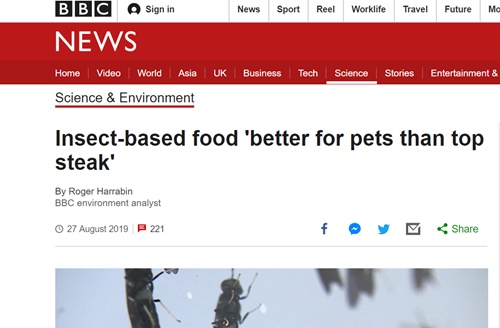 BBC 홈페이지 캡쳐