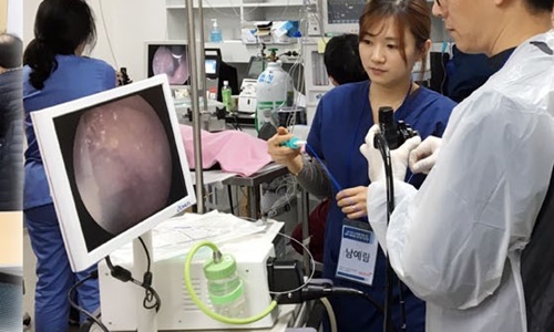 201909ihaedu endoscope