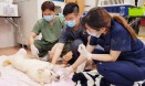 부산 구포시장 떠난 개들 돌본 `버려진 동물을 위한 수의사회`