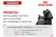 `반려동물 소양감, 식이조절로 관리` 로얄캐닌 웨비나 10월 10일