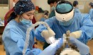 중랑구·KSFM，올해 세 번째 길고양이 군집 TNRM 봉사 펼쳐