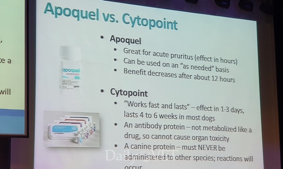 20190908cytopoint3
