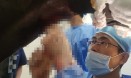 제주대·한국마사회，국내 최초로 씨암말 난치성 질환 수술 시행