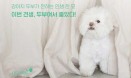 [신간] 이번 견생 두부여서 좋았다 `내 두 번째 이름，두부`