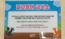 동물구조 119 `동네 고양이에게 밥 주는 행위는 불법이 아닙니다`