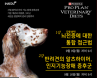 반려견 간질발작·인지기능장애증후군 웨비나 9일＆16일 연이어 열린다