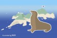 [기고] 다시 보고 싶은 독도 강치／이성빈 수의사