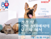 미네소타 결석센터 교수에게 배운다，힐스 웨비나 11월 11일 개최