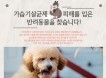 KBVP `가습기살균제 피해를 입은 반려동물을 찾습니다`