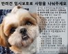 `경기도내 유기견을 임시보호해줄 도민을 찾습니다`