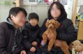 경기도 도우미견나눔센터, 올해 유기견 327마리 입양
