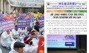 아프리카돼지열병을 두고 벌어진 정부와 피해농가의 온도차