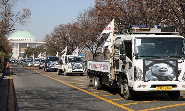 ASF 피해농가들이 재입식을 촉구하는 차량시위를 벌였다 (사진 : 한돈협회)