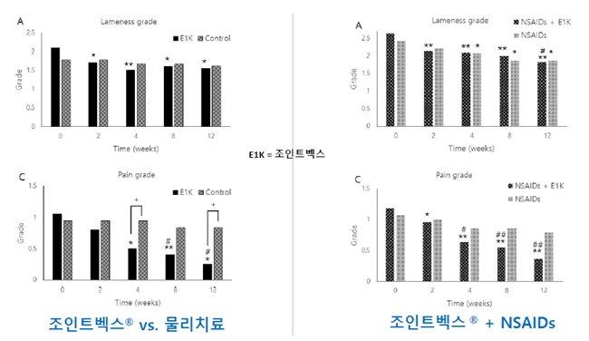 서울대 동물병원에서 실시한 조인트벡스 임상시험 (자료 : 벡스퍼트)