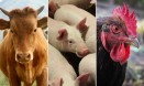 수의사처방제 전산의무화 내일인데‥축산 현장선 `당장 못해요`