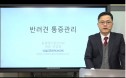 반려견 관절 질환, 통증관리와 운동치료 병행해야