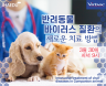 `반려동물 바이러스 질환 새로운 치료법` 버박 웨비나 3월 30일
