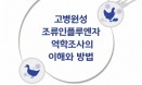 고병원성 AI, 오리·산란계 축종별 역학조사 궁금하다면