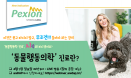 김선아 수의사 `동물행동의학 진료` 웨비나，4월 5일 개최
