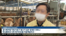 `코로나19 때문에 소 원격진료 하자？` 보도에 황당한 수의사들