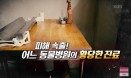 ˝수의사 잘못으로 반려견이 죽었습니다˝