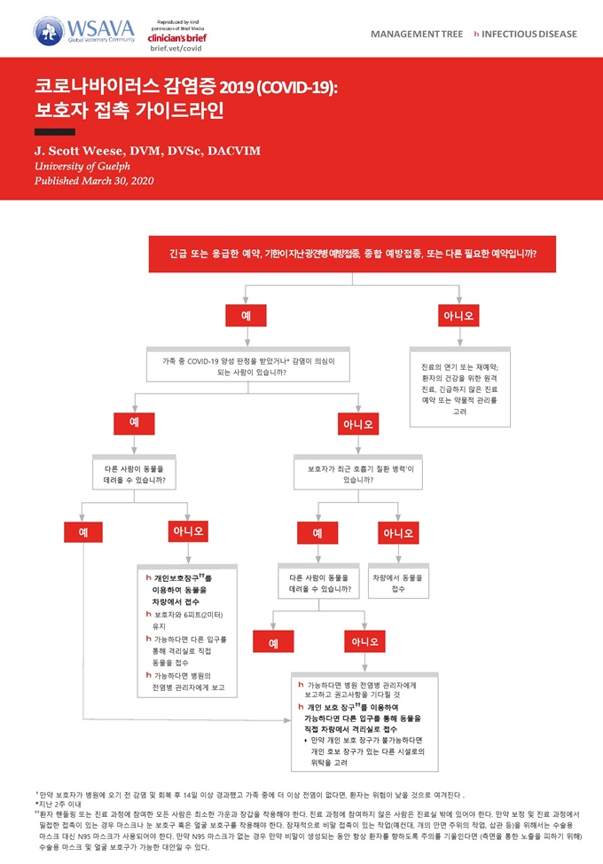 20200410covid19guideline_wsava1
