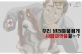 [카드뉴스] 약국에서 판 감기약 때문에 발작까지 한 반려견