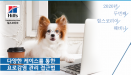 힐스코리아 `개의 요로감염 관리` 웨비나，5월 18일 방영