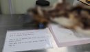 ABCDF 학점 없이 PASS만 하면 되는 수의과대학 교과목이 있다？