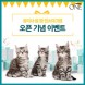 네슬레 퓨리나 `퓨리나 원 캣` 공식 인스타그램 오픈