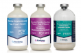 `PRRS·마이코플라스마·PCV2 3중 백신 효과 조명` 11일 런치세미나