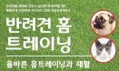 [신간] 반려견 홈 트레이닝：최춘기·김석중·이지연·이재훈