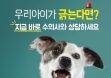 `우리 아이가 긁는다면？` 지금 바로 수의사와 상담하세요