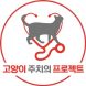 [반려묘를 병원으로①] 반려묘 정기 건강검진 비율 여전히 낮아