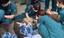 녹십자수의약품，수의대 봉사동아리에 동물약품 후원