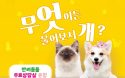 지자체 수의사 무료상담 서비스 운영，어떻게 봐야 할까
