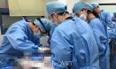 `아름다운 동행 따뜻한 공존` 대구시수의사회＆동고행 군집 TNR봉사