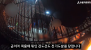 여전한 개 전기도살 현장 포착..학대혐의자 소유 동물 격리는