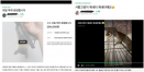 [2020국감] 과일박쥐·사향고양이도 개인이 사고 판다‥규제 강화해야