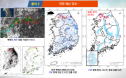 아프리카돼지열병 내년에 더 심각 우려‥설악산 뚫리면 상재화