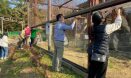 청주동물원, 시민과 함께 `하늘의 로드킬` 막기 위한 캠페인