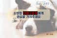 [카드뉴스] 소방청 인명구조견에 관심을 가져주세요：프시케