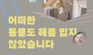 영화감독이 대표인 단체가 만든 국내 최초 `동물 촬영 가이드라인`