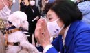 박영선 서울시장 후보 반려동물 공약 발표，1번 공약은 `동물 진료비` 관련