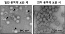 검역본부，구제역 백신 항원 장기 보존용 조성물 개발