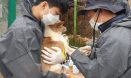 완주 유기동물 보호소 찾은 전북수의사회 동물의료봉사단