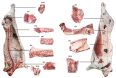 한우 마리당 273kg 고기 생산‥돼지는 62kg