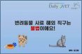 [카드뉴스] 반려동물 사료 해외 직구는 불법：프시케