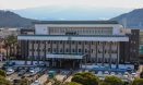 제주도 마당개 중성화 지원사업, 유기동물 발생 감소 효과